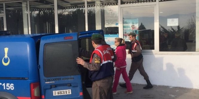 İnternetten salatalık gönderen dolandırıcı yakalandı