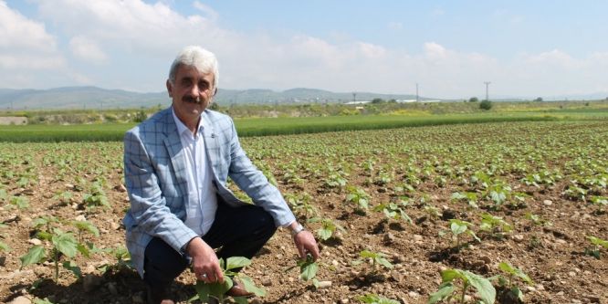 Yenişehir’de 400 bin dekar alan suya kavuşuyor