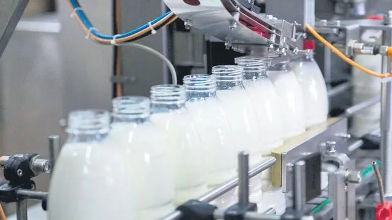 39 süt fırmasına soruşturma!