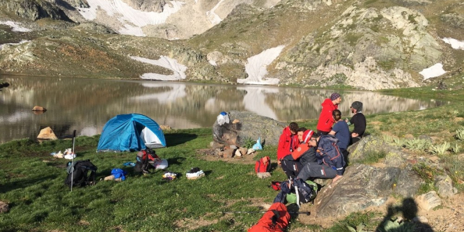 Kampta ayı paniği