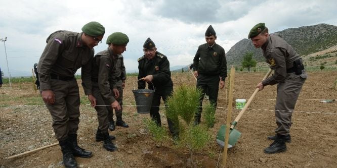 810 fidan toprakla buluştu
