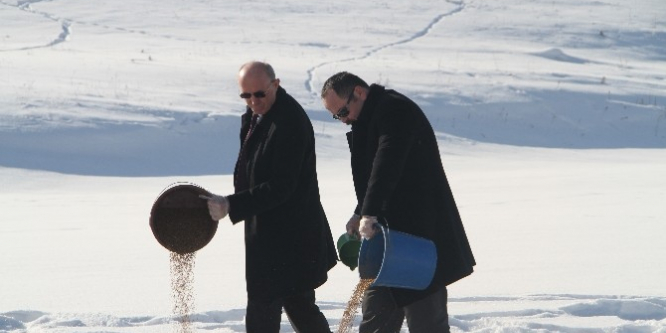 Ardahan'da yaban hayvanları için doğaya yem bırakıldı