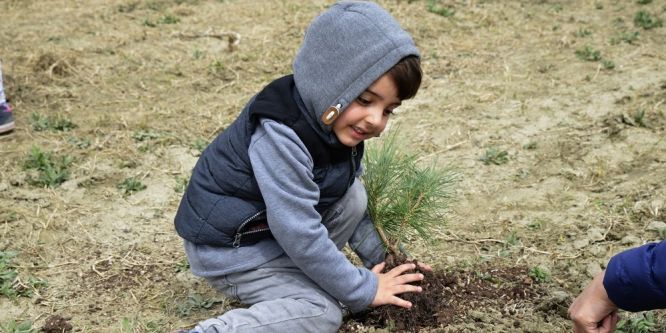 Yüzlerce fidan toprakla buluştu