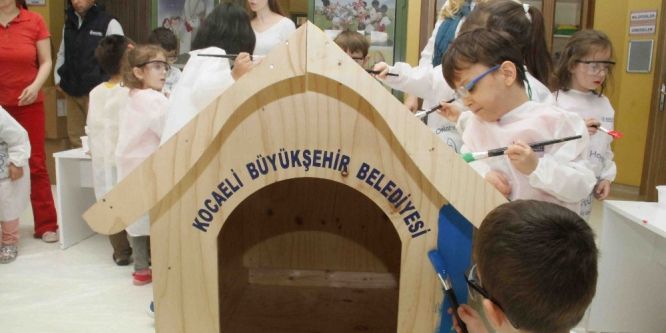 Miniklerden sokak hayvanlarına kulübe