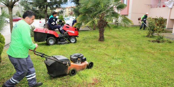 Başiskele’de çim biçme çalışmaları başladı