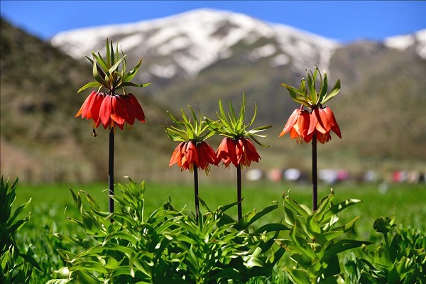 3.cemre düştü mü? Cemre nereye düşer?