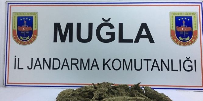 1,5 kilogram uyuşturucu ele geçirildi