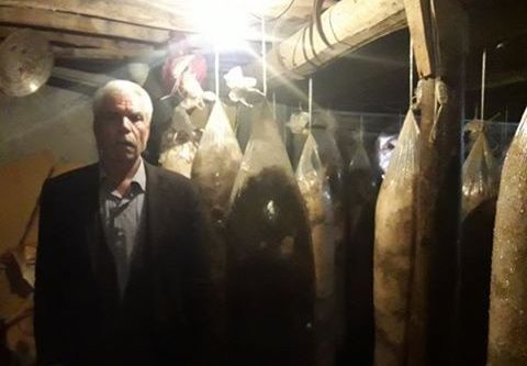 Saman içerisinde bakın ne üretiyor