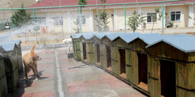 Belediye'den vatandaşlara çağrı!