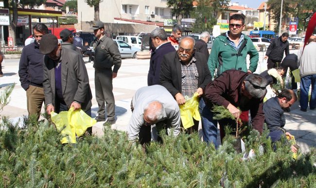 4 bin 500 fidan 1 saatte dağıtıldı