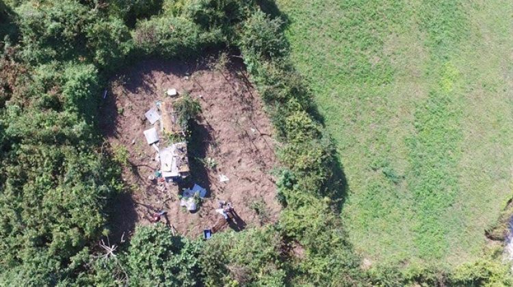 4 bin 500 kök kenevir ele geçirildi