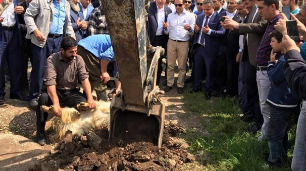 4 bin nüfuslu köyün su hasreti sona eriyor