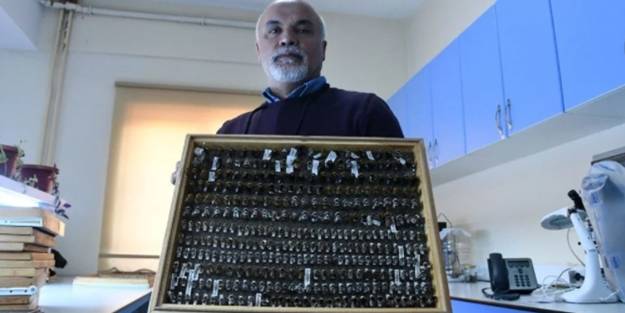 4 bin türlük böcek koleksiyonu olan profesör