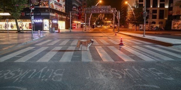 4 günlük sokağa çıkma kısıtlaması sona erdi!