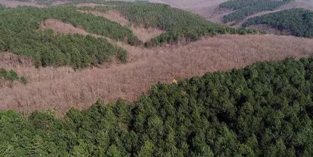 4 ilde bazı alanlar orman sınırları dışına çıkartıldı