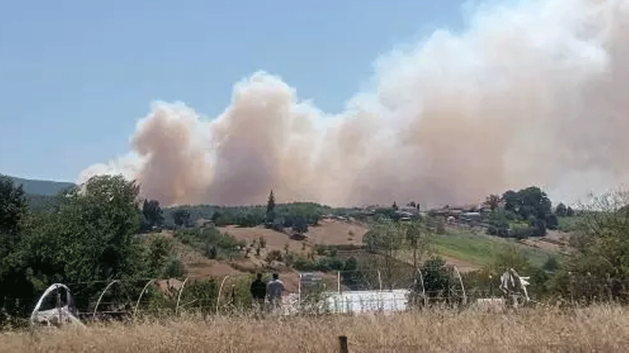 4 ilde orman yangını çıktı!