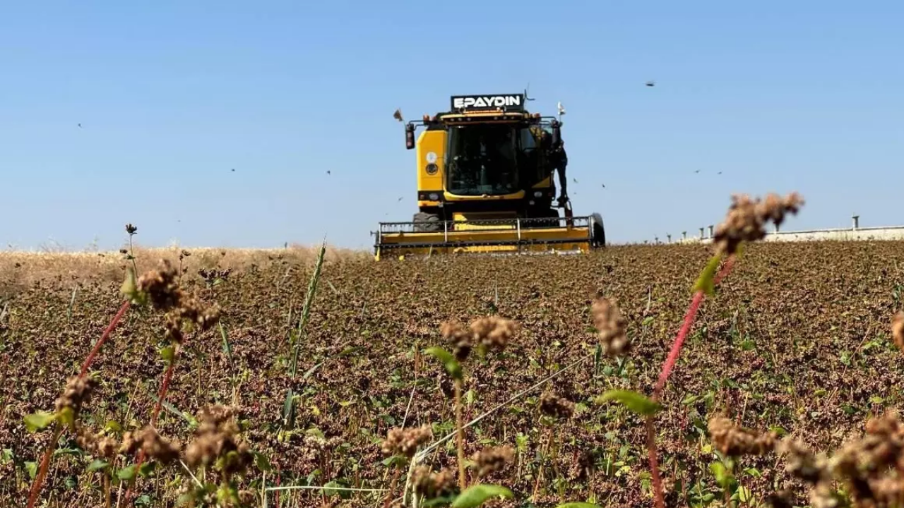 4 ildeki üreticilere 3,1 milyar lira destek ödemesi