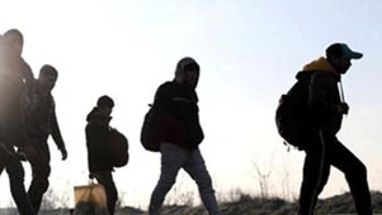 4 kaçak göçmen daha yakalandı