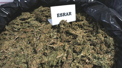 132 kilo esrar ele geçirildi