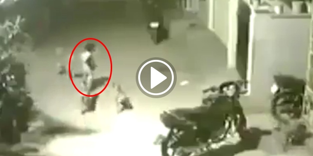 4 köpeği tek başına kovalayan yürek yemiş ufaklık