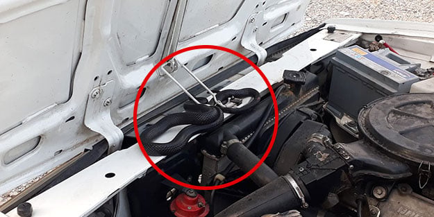 4 saat boyunca motordan çıkmasını beklediler!
