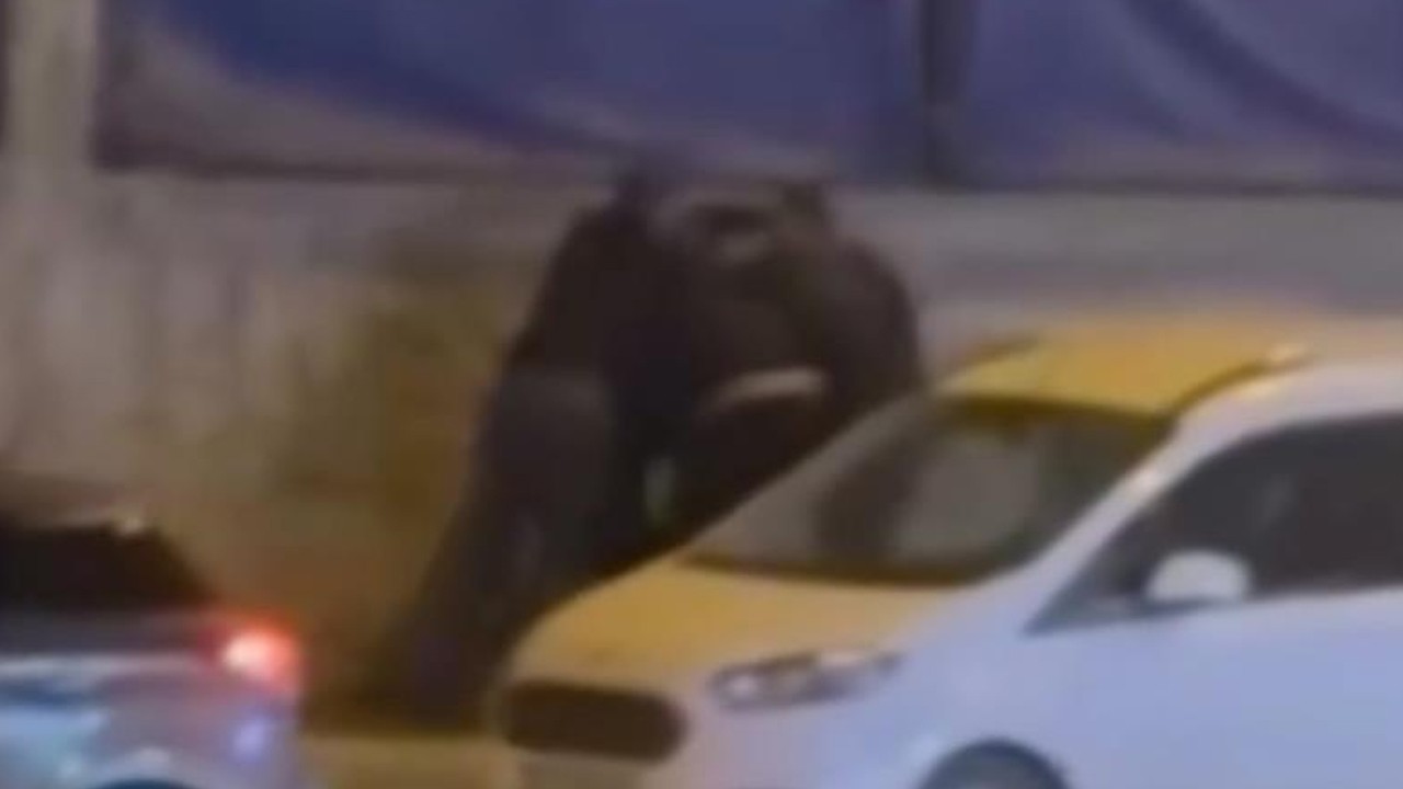 4 şahıs tartışığı kişiyi öldüresiye dövdü! O anlar kamerada