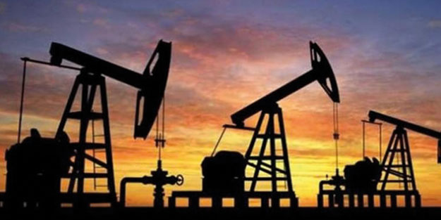 4 şirket daha petrol arama ruhsatı aldı