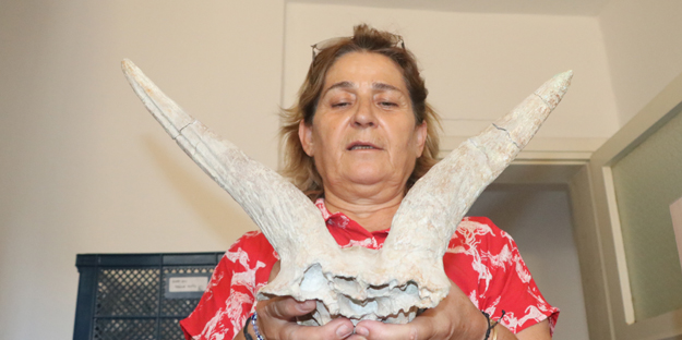 4 tür keşfi: Toprağı kazdılar, bataklığın içerisinden çıkardılar! Çıktıkça yenisi göründü!