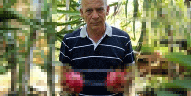 4 yıl boyunca uğraştı, şimdi yılda 242 bin lira net kar elde ediyor