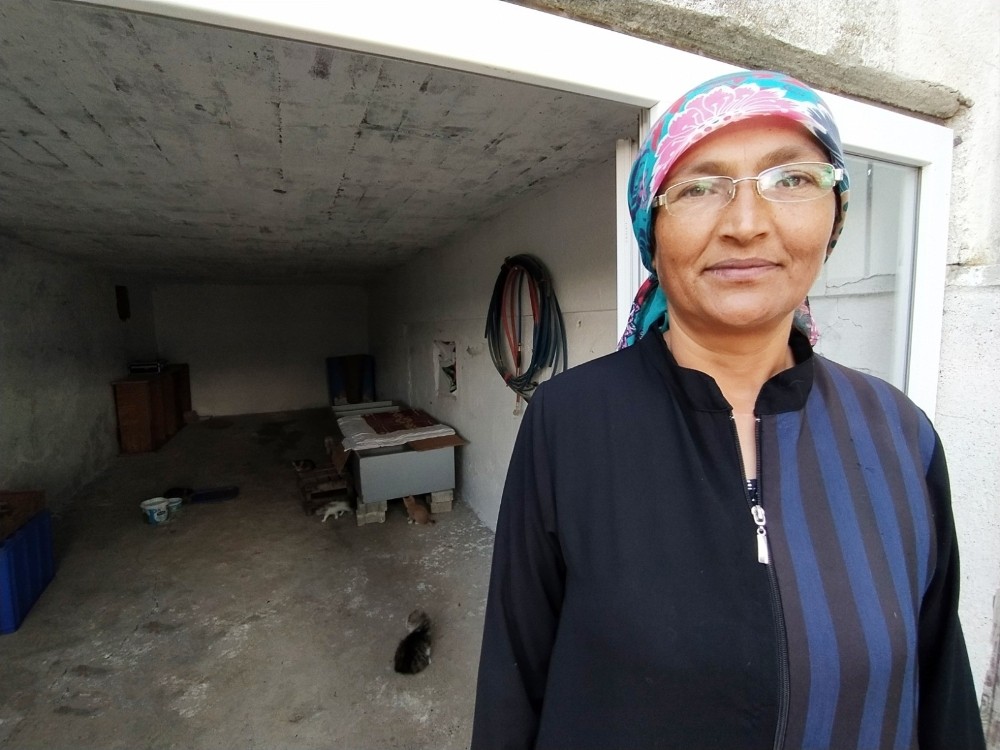 40 civarında kedisi olan Gönül Salman: 