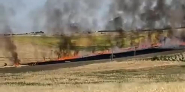 40 dönümlük alanda yangın