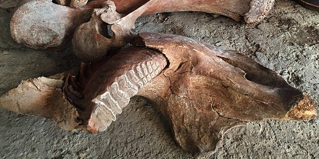 40 yıl önce de bulunmuştu