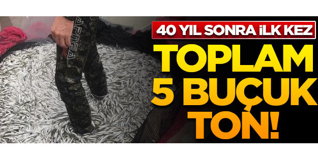 40 yıl sonra bir ilk! Aralık ayında 5 buçuk ton gümüş balığı yakaladılar