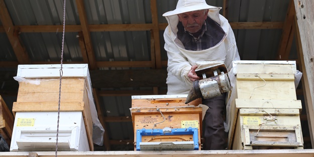 40 yıldır bal üreterek 7 çocuk yetiştirdi