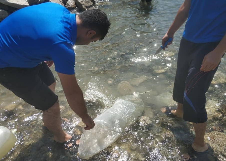 400 bin sazan yavrusu Karakaya Barajı’na bırakıldı 