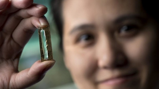 Şans eseri buldular! 400 yıl ömrü var