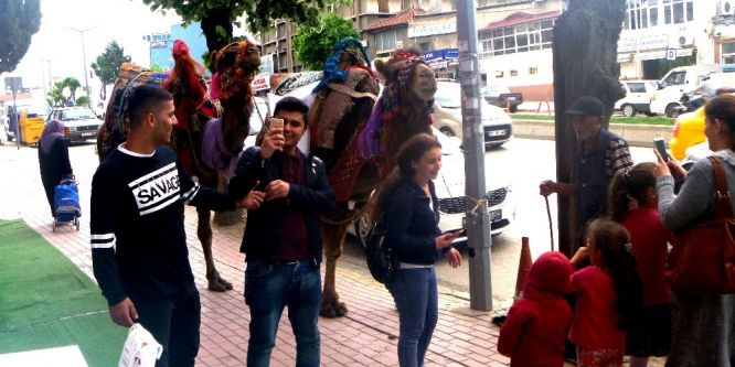 Deveyle resim çektirebilmek için yarıştılar