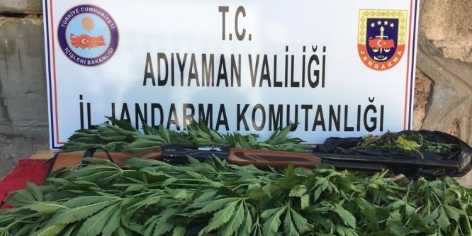 Jandarma uyuşturucu ile mücadeleyi sürdürüyor