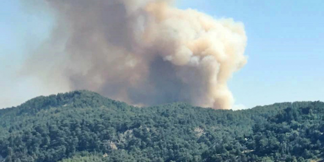 Kaş’ta orman yangını