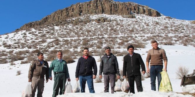 Doğaya yem bıraktılar