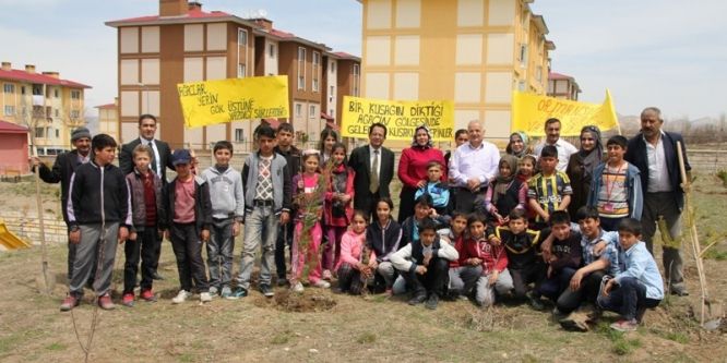 Van’da fidan dikimi