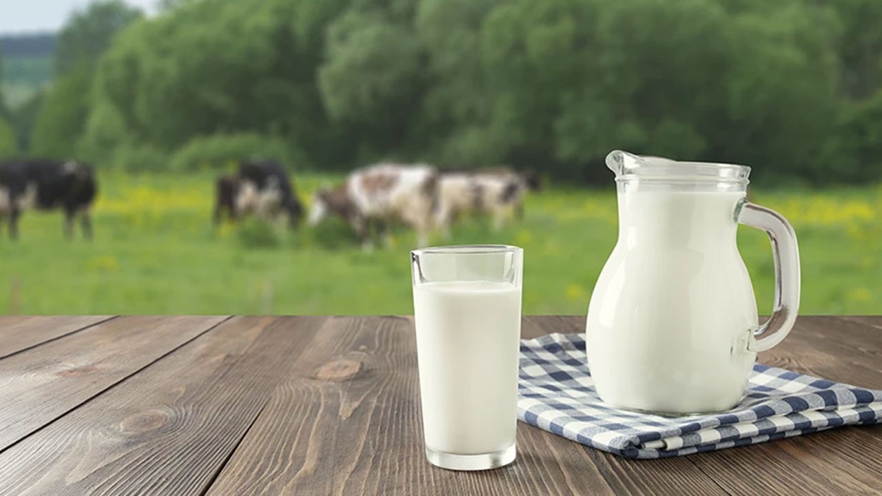 40'tan fazla süt şirketine soruşturma! En ünlü markalar da listede...