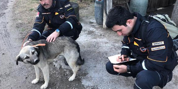 41 gündür kayıp yaşlı adamı bulduğu düşünülen köpeğine GPS takıldı