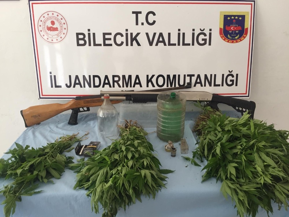 414 kök kenevir ile 168 gram kubar esrar ele geçirildi 