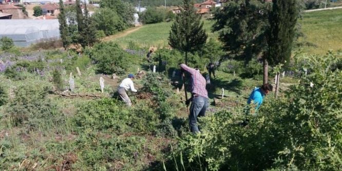 Köprübaşı’nda mezarlıklar temizleniyor