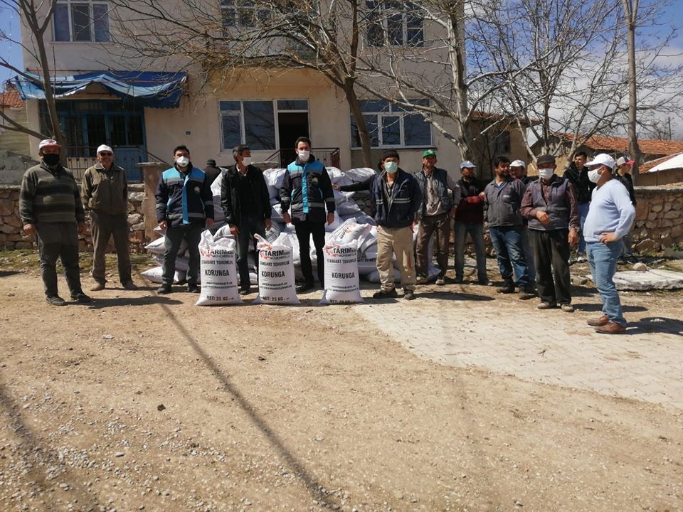 42 çiftçiye ’’Korunga’’ tohumu dağıtıldı 