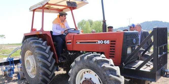 “Beyaz altın pamuk eski günlerine dönüyor”