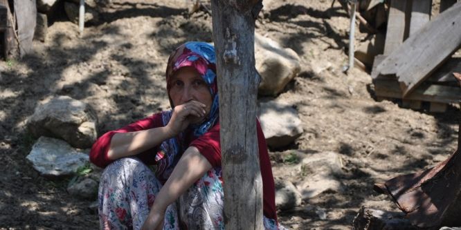 Merada otlayan koyunlar telef oldu