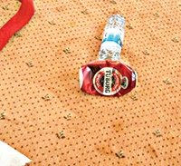 “İşgal kuvvetleri bile Dolmabahçe Camii’nde içki içmedi”