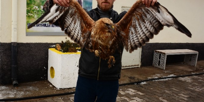 Yaralı Şahine onlar sahip çıktı